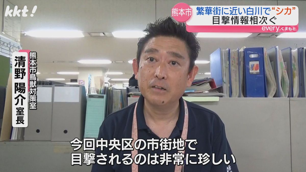 熊本市鳥獣対策室 清野陽介室長