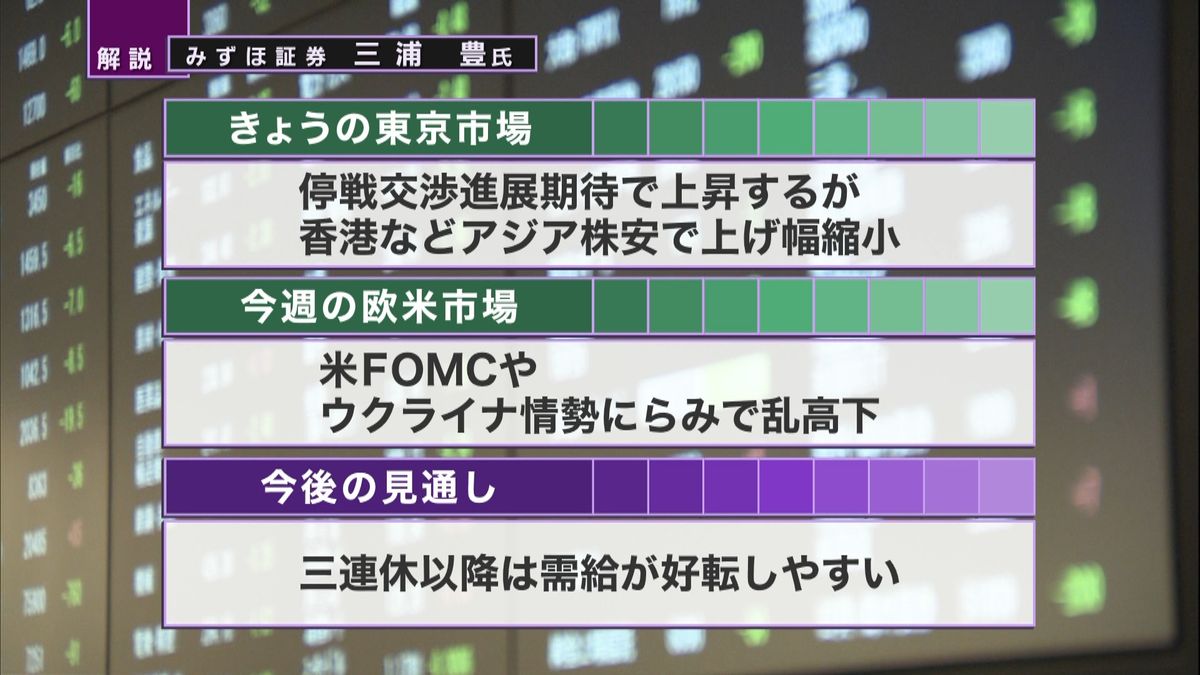 株価見通しは？　三浦豊氏が解説