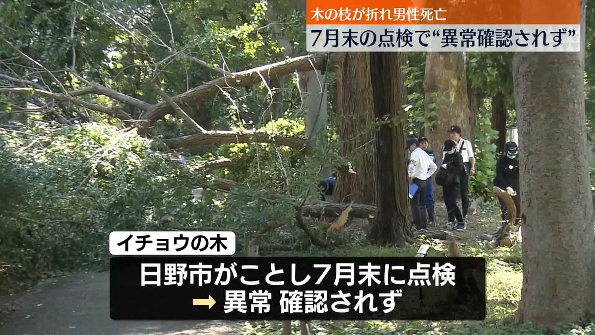 木の枝が折れ男性死亡　7月末の点検で“異常確認されず”　国交相「大変重たい事態」