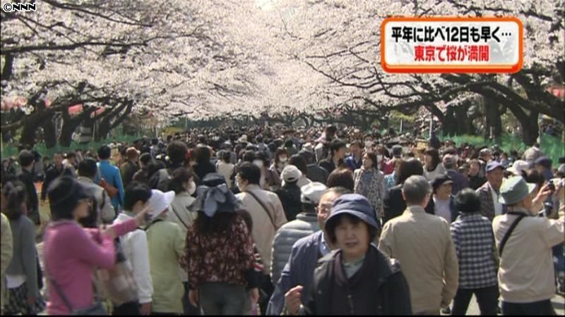 平年に比べ１２日早く　東京で桜が満開