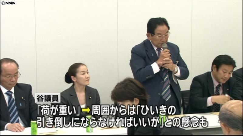 民主党スポーツ議連、新会長に谷亮子議員