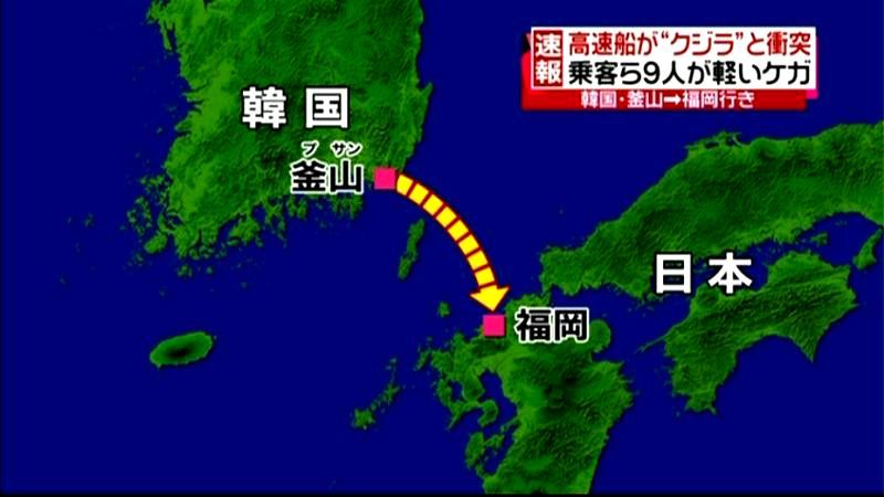 福岡行きの高速船　釜山沖でクジラ？と衝突
