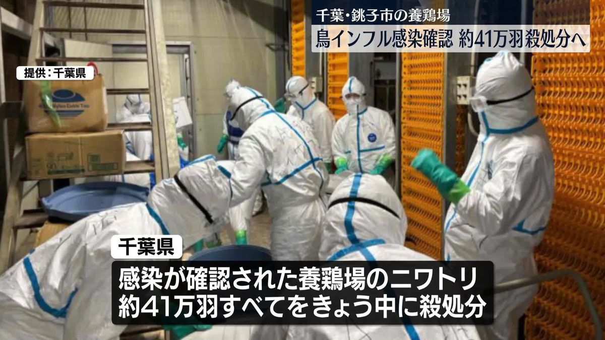 養鶏場で高病原性鳥インフルの感染確認　41万羽を殺処分へ　千葉・銚子市