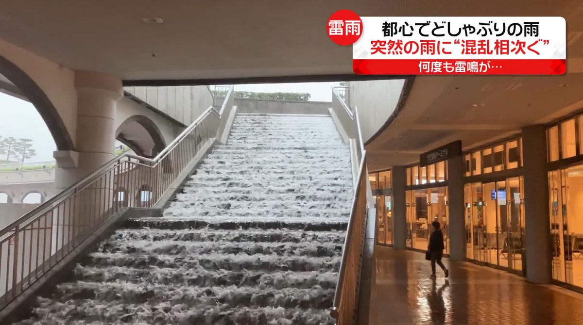 「秋雨前線」東京で大雨警報　滝のようになった階段…フェラーリ“水没”も