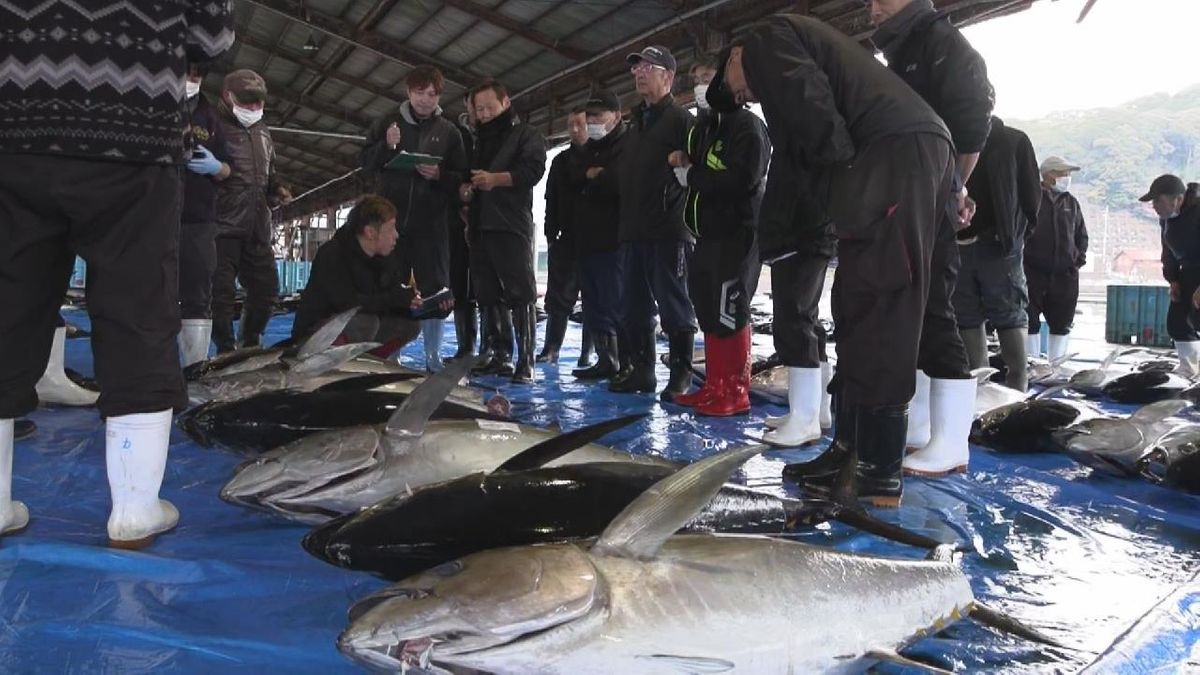 今年最後のマグロの水揚げ   “正月向け”約10トン　年の瀬に活気づく魚市場　三重・尾鷲市