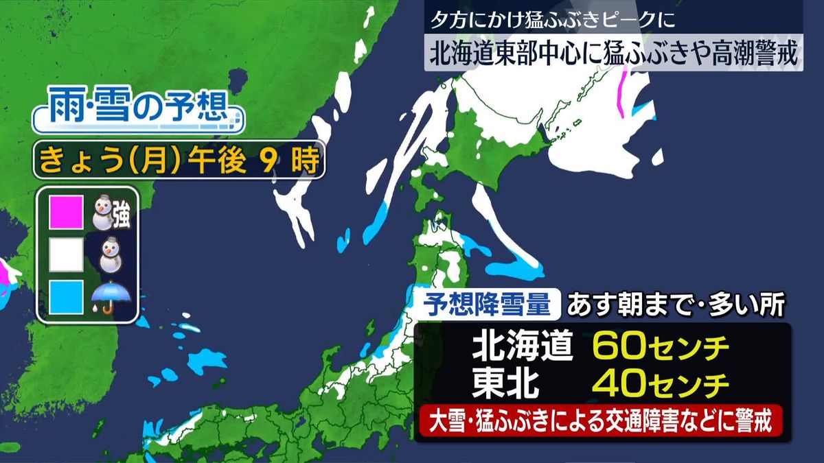 低気圧が急速発達　北海道東部中心に猛ふぶき・高潮に警戒