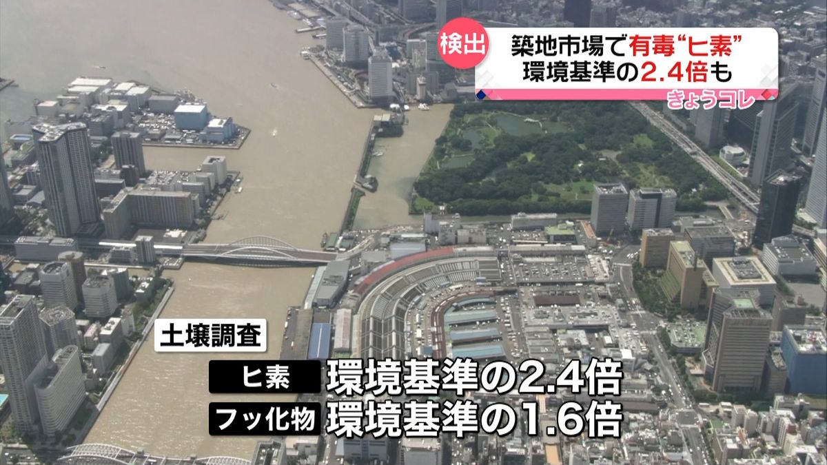 築地市場で環境基準２．４倍のヒ素検出