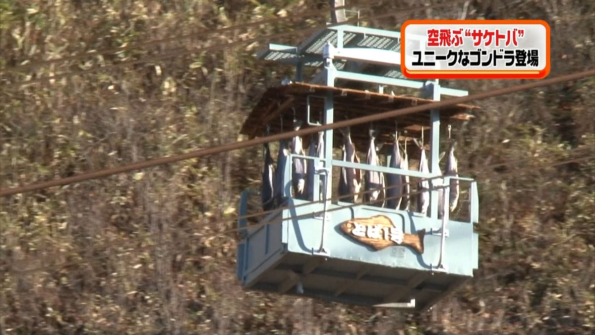 サケをつるしたままゴンドラ運行　登別温泉