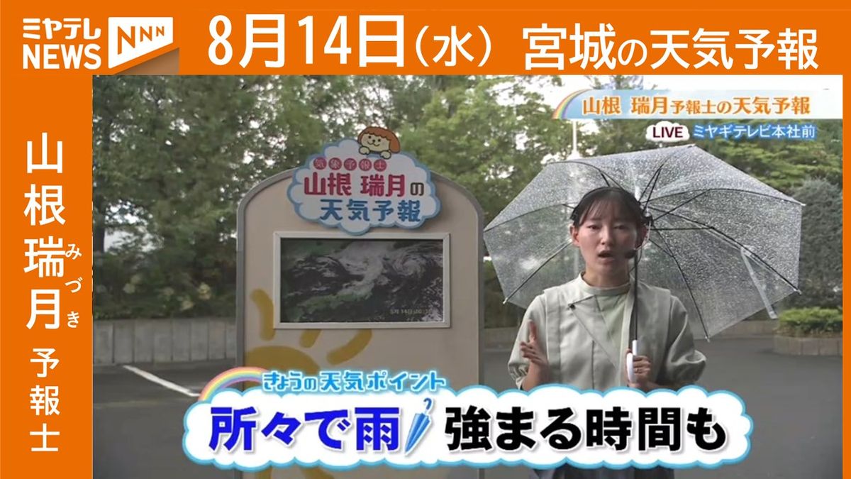 【宮城】14日(水)の天気　山根瑞月予報士の天気予報