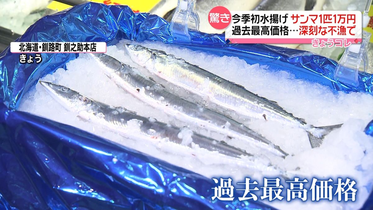 サンマ“初水揚げ”わずか24匹　鮮魚店では1匹“1万円”　北海道