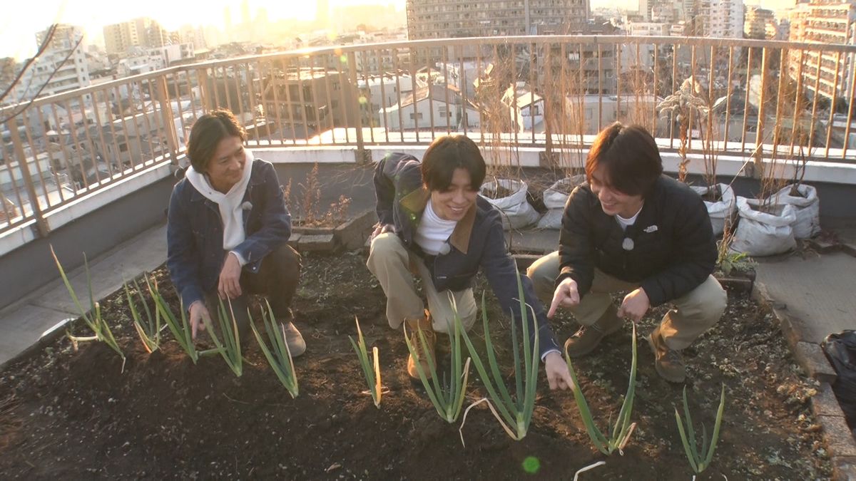 Travis Japan・松田元太「超興奮する！」　肥料探しにストーブ作り　国産バナナ栽培で孤軍奮闘