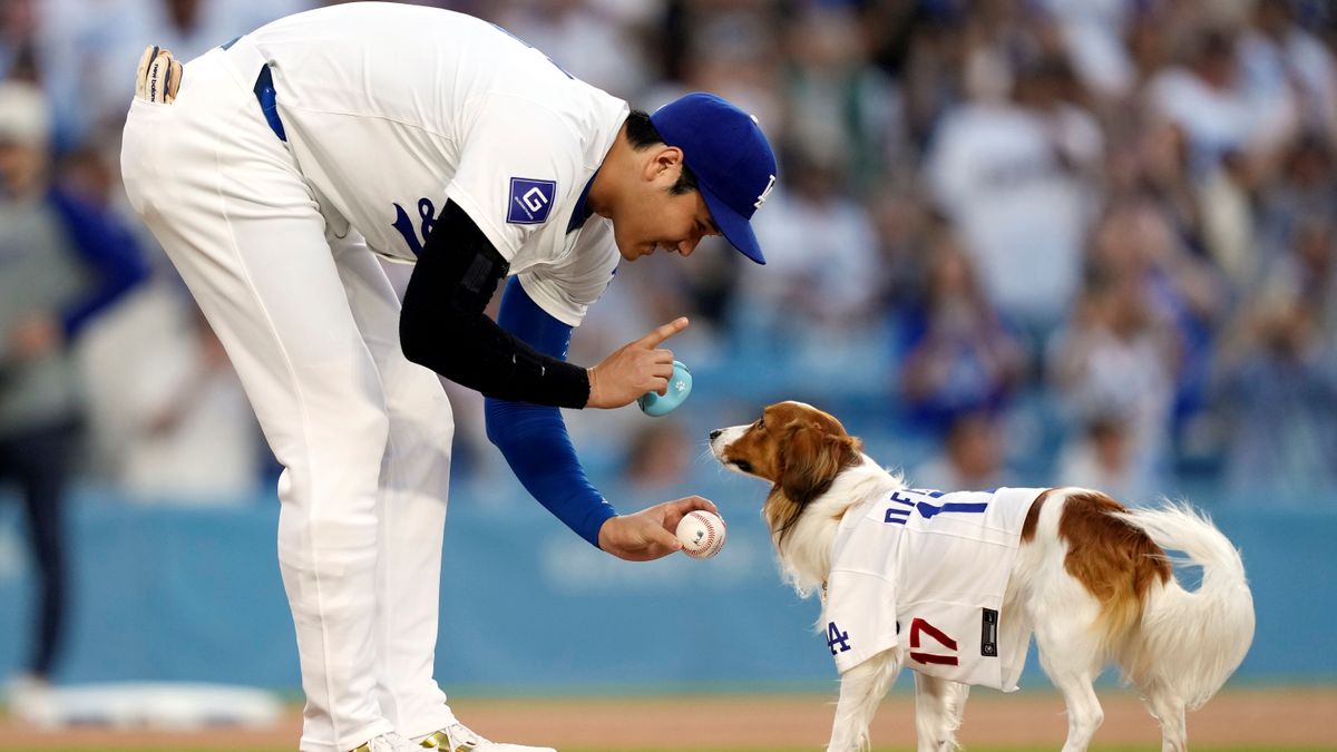 「デコピン賢いねぇ」愛犬・デコピンが始球式に登場　捕手役の大谷翔平へボールを届ける｜日テレNEWS NNN