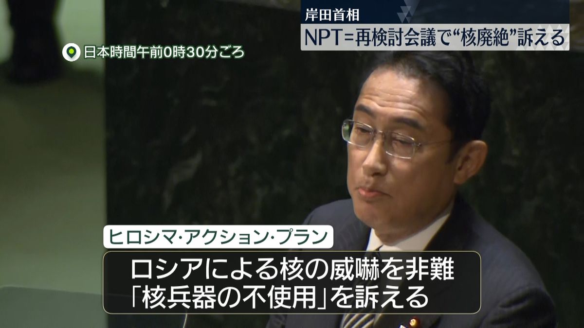岸田首相、NPT再検討会議で演説　核兵器廃絶訴える