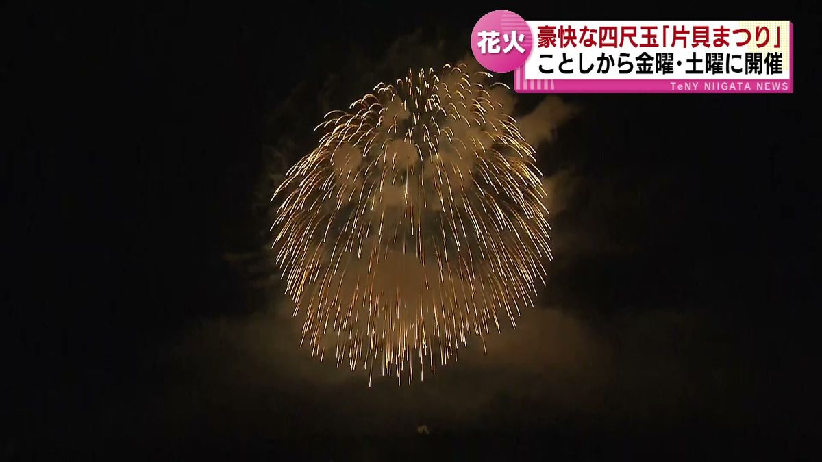 【花火】今年から金曜・土曜に開催　“世界最大級の四尺玉”　「片貝花火」《新潟》