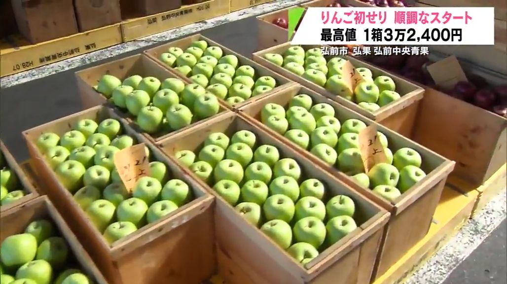 最高値は4年連続で3万2,400円　りんご初せり順調なスタート　弘前市の青果市場