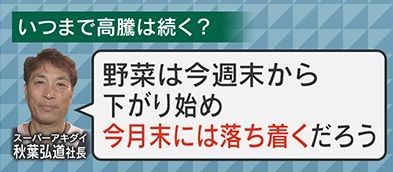 野菜の高騰はいつまで？