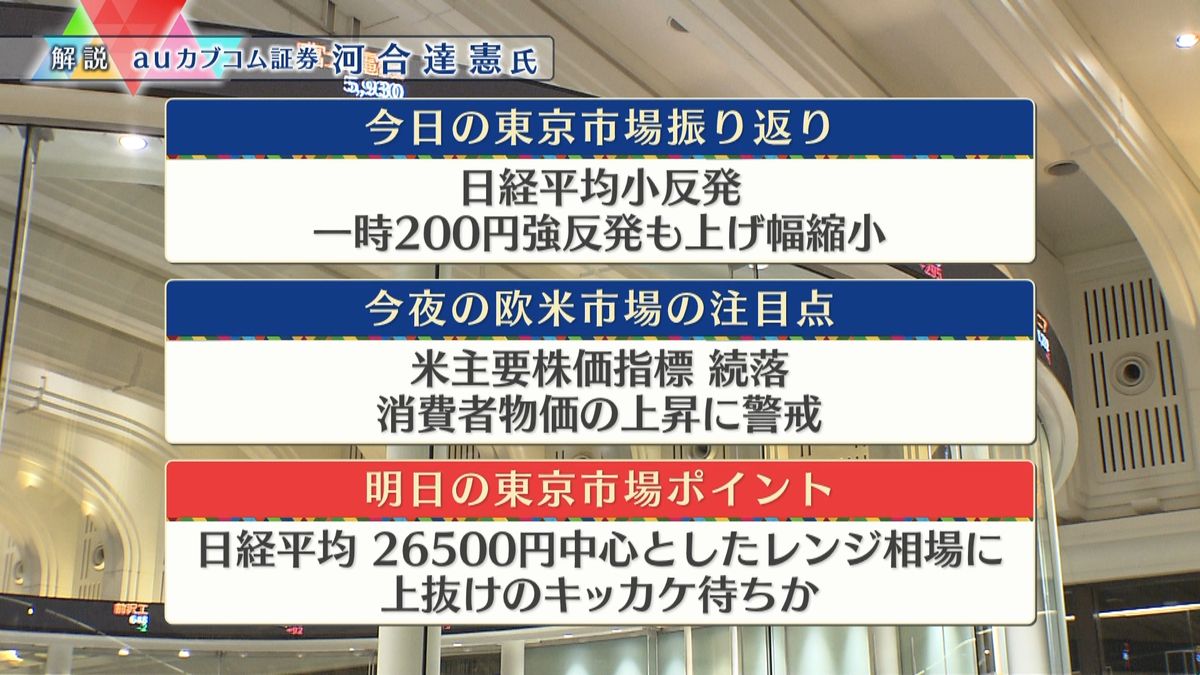 株価見通しは？　河合達憲氏が解説