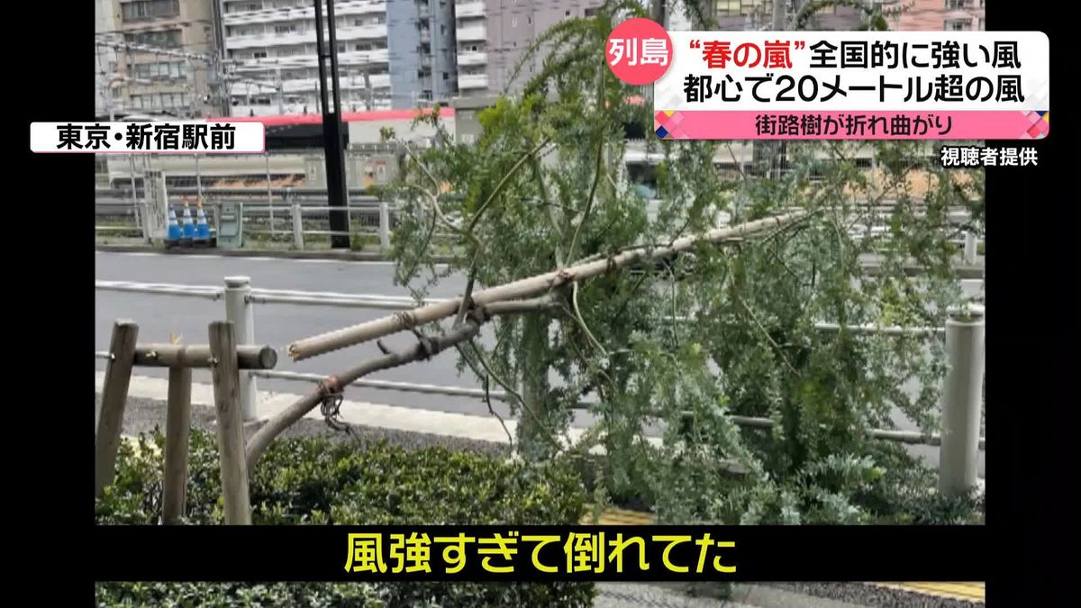 “春の嵐”全国的に強い風　記録的な暖かさで“開花”早まり…困惑の声　スキー場では雪がとけ…