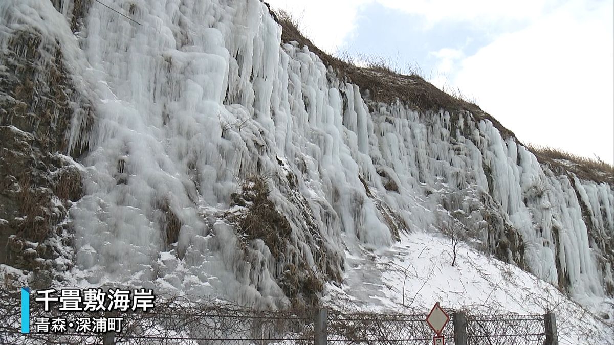 「氷のカーテン」が見頃　青森・千畳敷海岸