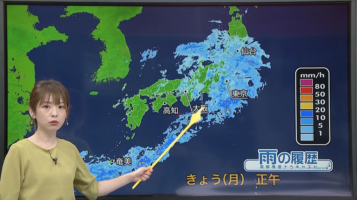 【天気】関東甲信で梅雨入り　午後は雨脚強まり、大雨の所も