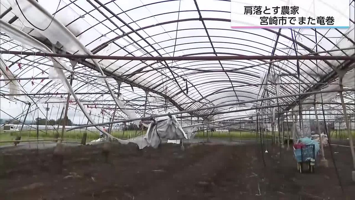 「来週苗を植える予定だった」肩落とすキュウリ農家　宮崎市でまた竜巻