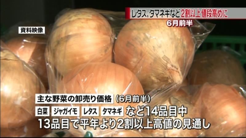 ６月前半の野菜卸売価格は“２割以上高め”