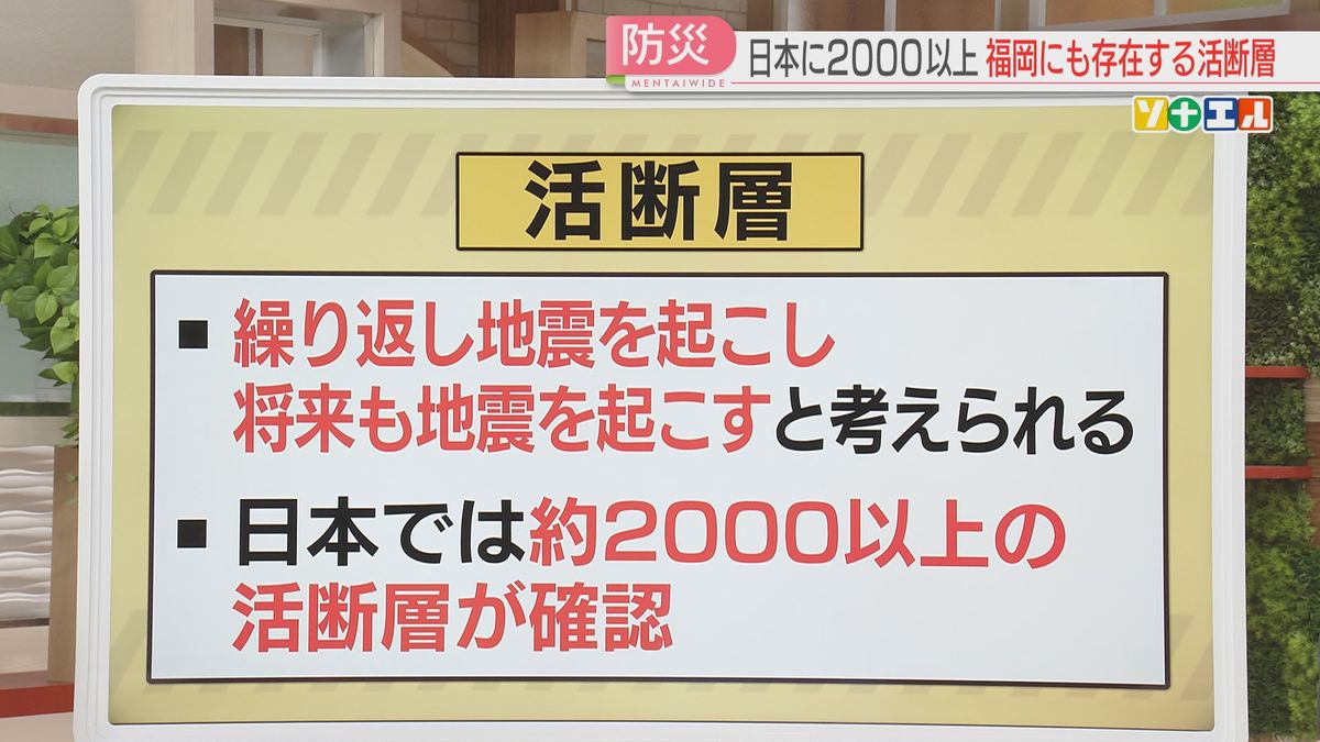 日本では2000以上を確認