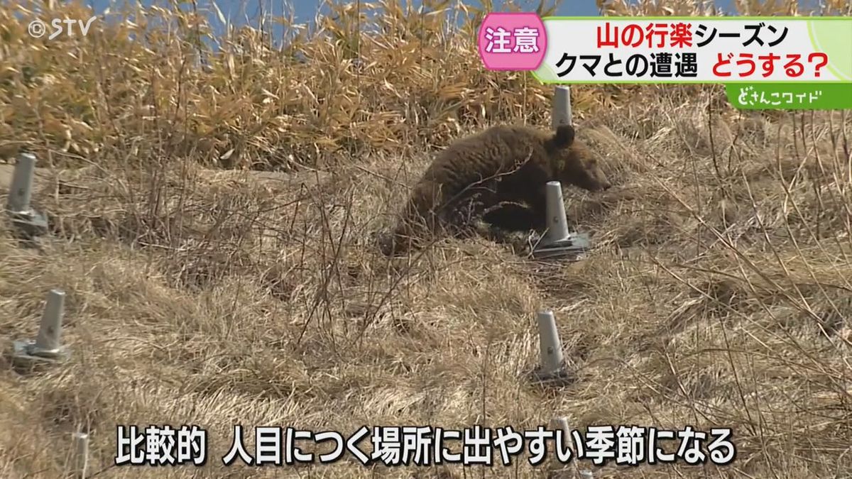 どうする？クマとの遭遇　蹴って撃退も「運がよかっただけ」　出没・目撃相次ぐ行楽シーズン