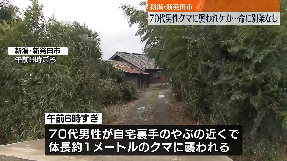 新潟・新発田市で70代男性がクマに襲われケガ　警察など住民に注意呼びかけ