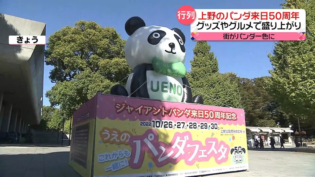 上野の「ジャイアントパンダ」来日50周年　グッズやグルメで盛り上がる