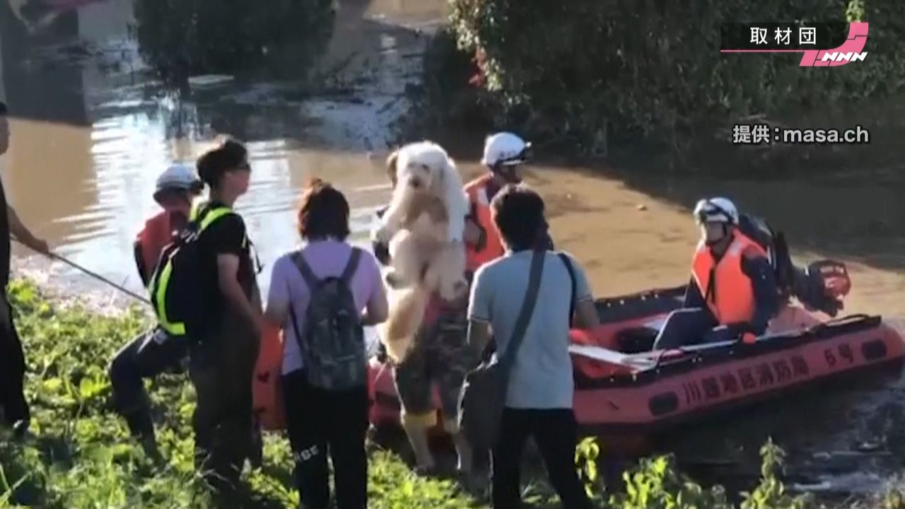 避難しない ペット 浸水したとき