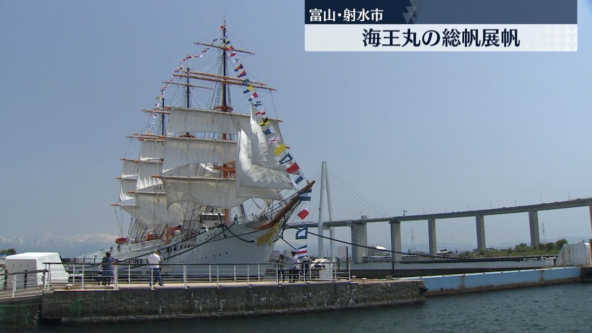 帆船海王丸の総帆展帆が行われる　満船飾も　富山・射水市