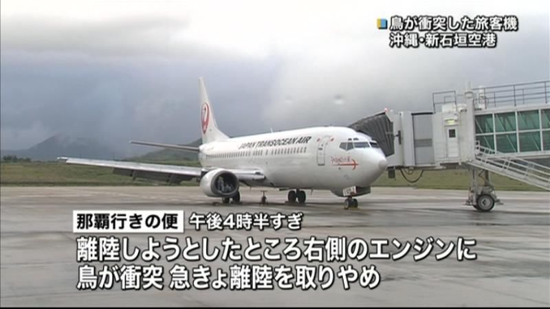 旅客機エンジンに鳥衝突、離陸中止　石垣市