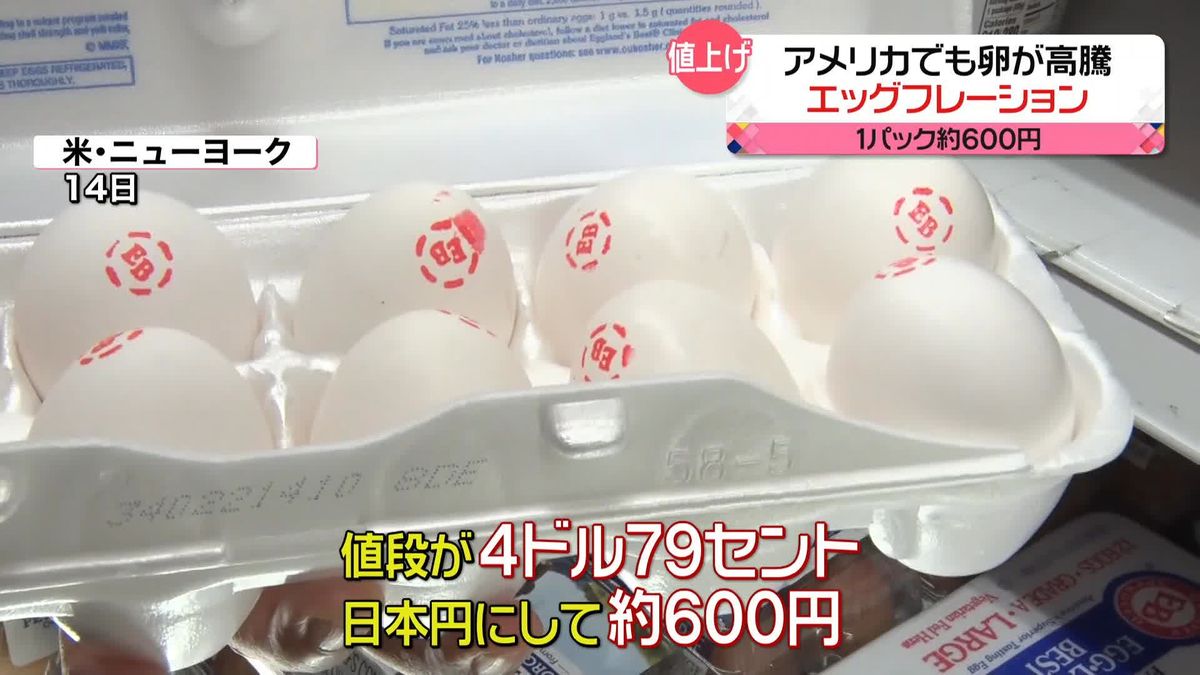 “エッグフレーション”アメリカでも卵が高騰　1パック600円に…　香港では日本の卵ブーム”卵かけご飯”が人気