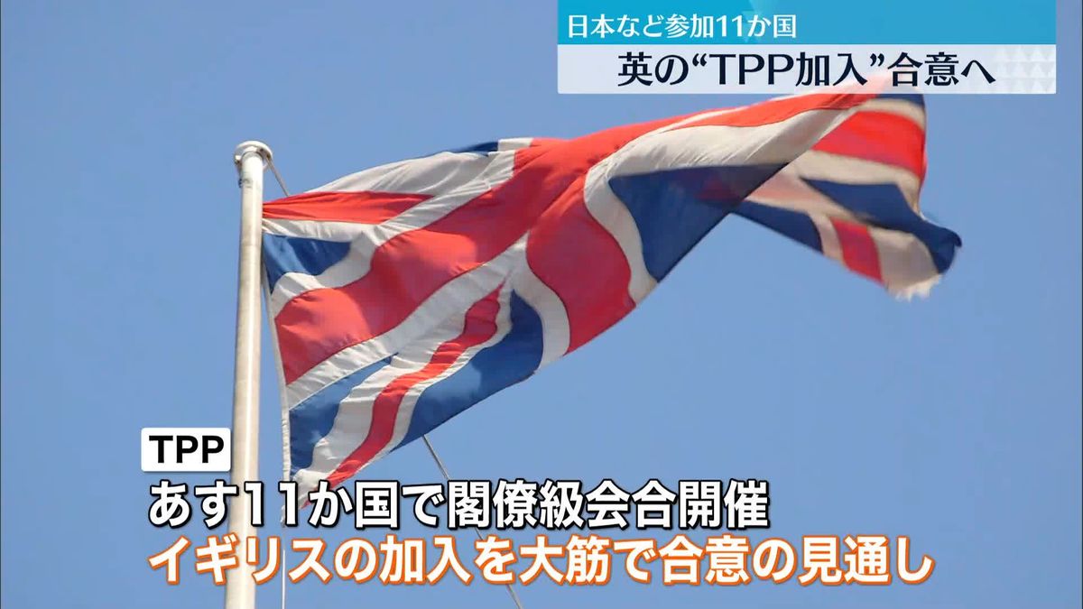 日本など参加11か国　英の“TPP加入”合意へ