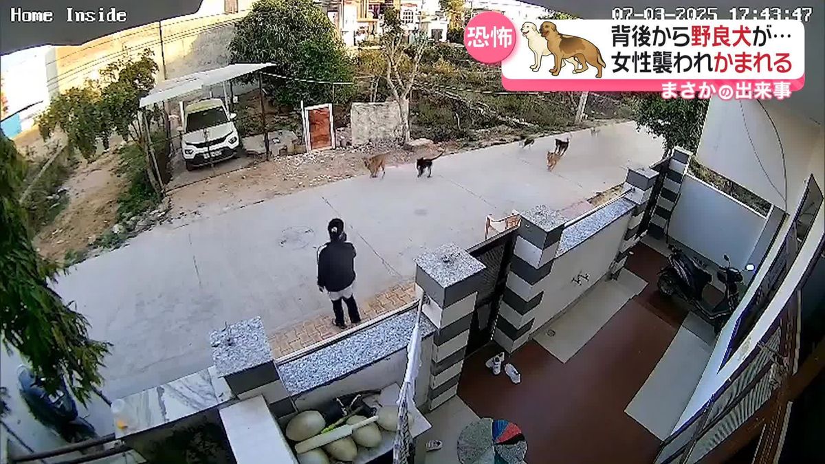 野良犬8匹が女性を襲う　追い払っても襲い続け…　インド・ラジャスタン州