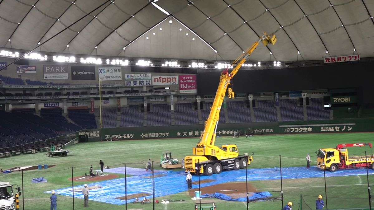 巨人・岡本和真の“あの打球”を回収　グラウンドにはクレーン車　野球殿堂博物館に展示予定