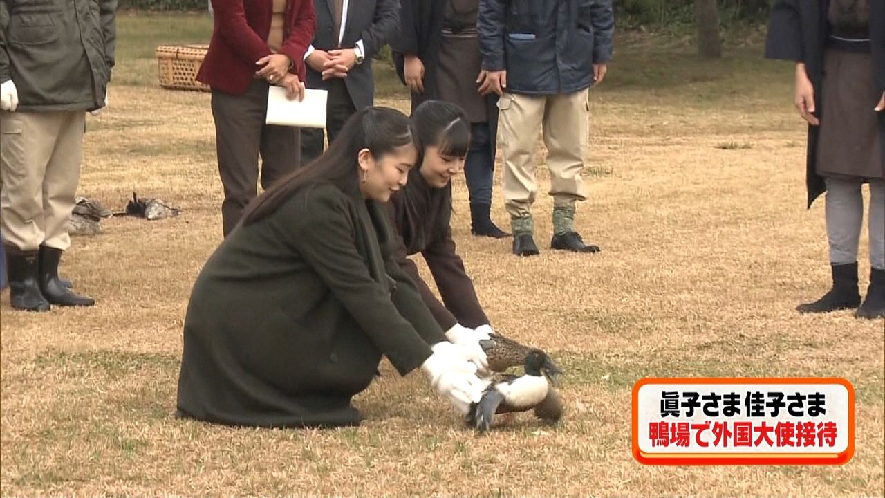 眞子さまと佳子さま 鴨場で外国大使ら接待（2019年12月16日掲載）｜日テレNEWS NNN