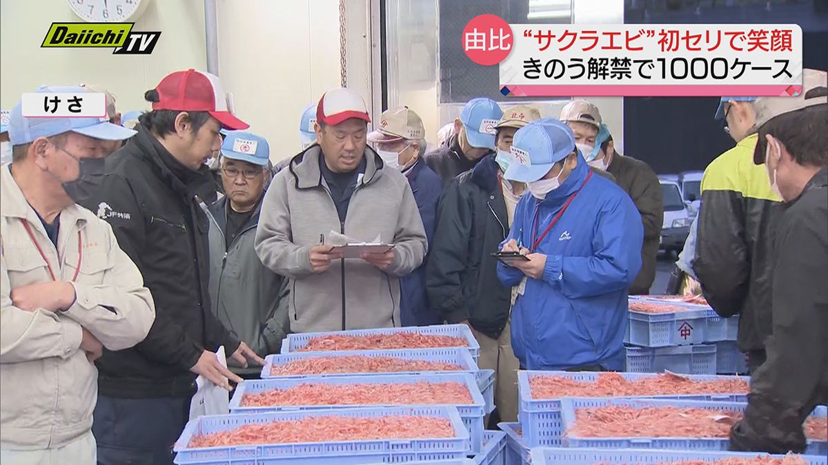 【駿河湾の宝石】特産サクラエビの春漁スタート…“初競り”関係者に笑顔も（静岡・由比港）