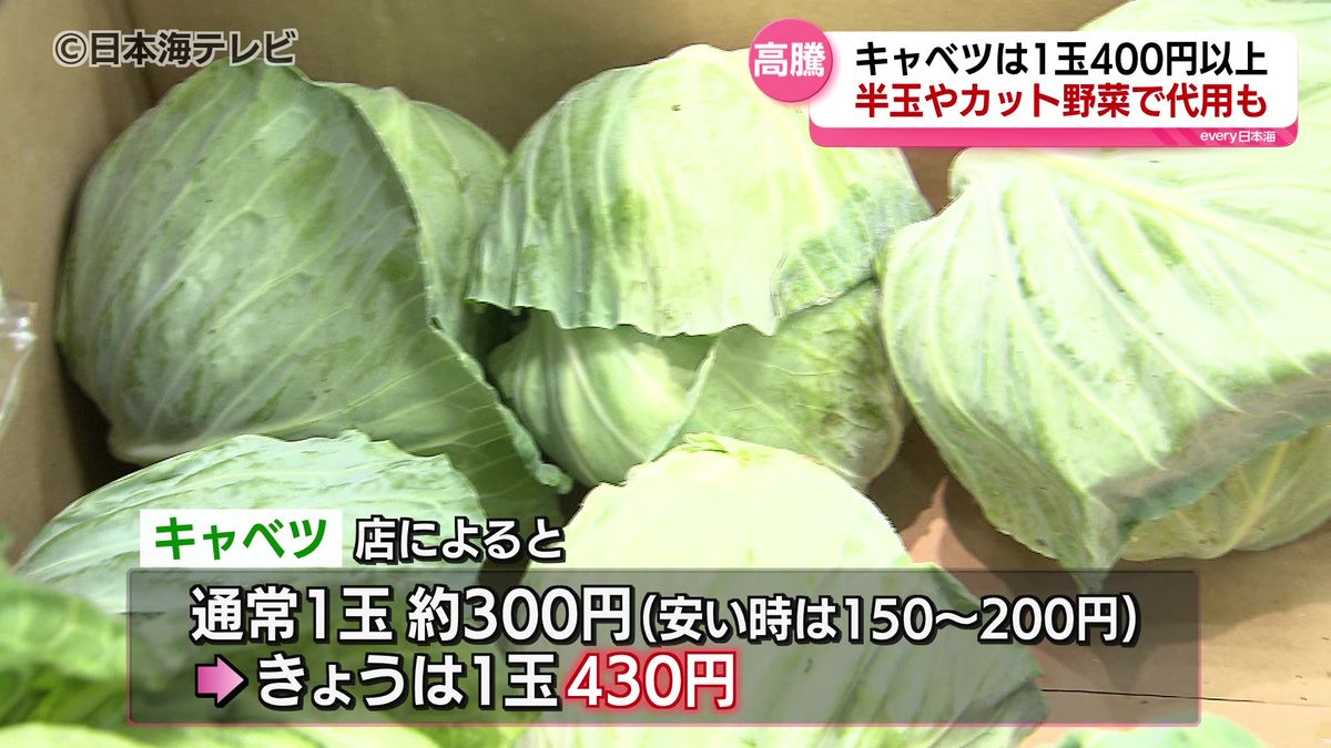 葉物野菜で価格の高騰　キャベツの産地で生育不良　家計に直撃する野菜の高騰を受け、節約のために家庭菜園をする人も