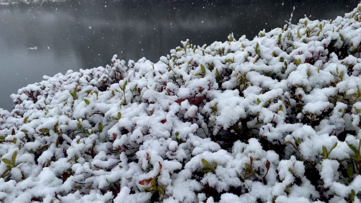 関東午後は各地で次第に雪　さいたま市などで積もった所も