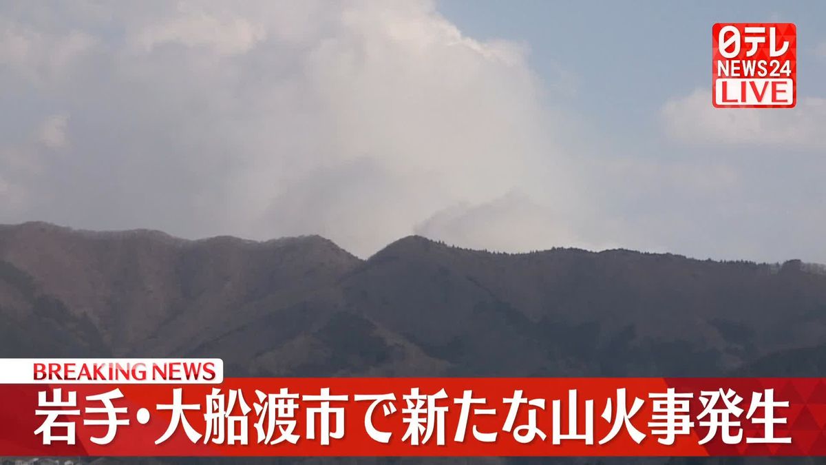 岩手･大船渡市で新たな山火事発生　消火活動中