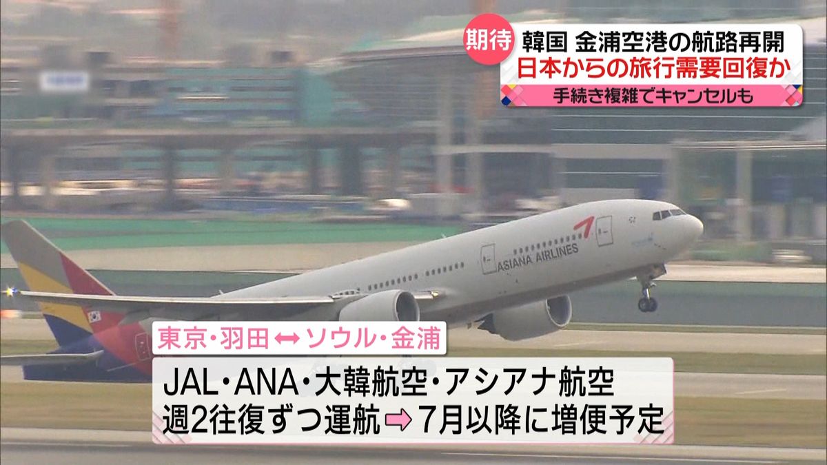 羽田と金浦を結ぶ航空路線再開へ　日本への旅行に期待　韓国　