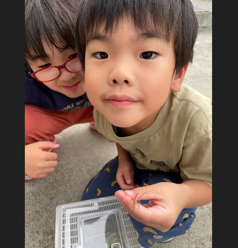 「なんかピンクの虫がいる！」ピンクのバッタ発見　須賀川市の男の子（６）【中テレ投稿BOXニュース】