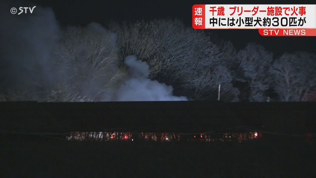 「火柱が見える」 千歳市のブリーダー施設で火事 中には約３０匹の小型犬が…暖房器具に「薪をくべた」 