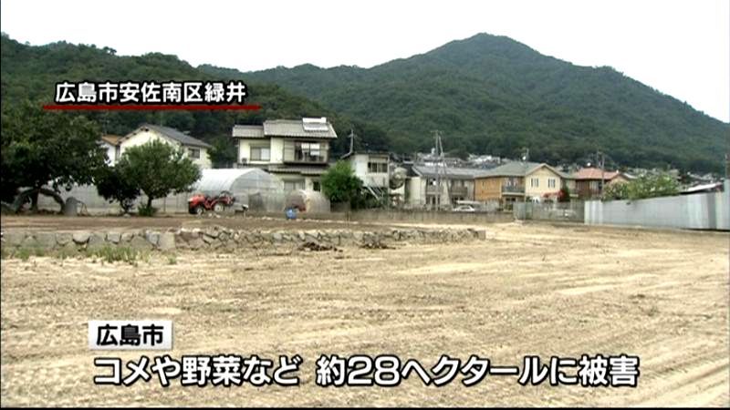 広島土砂災害から４週間　地域農業に打撃