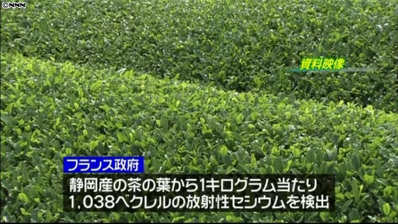 仏で静岡産茶葉からセシウム　県は確認急ぐ