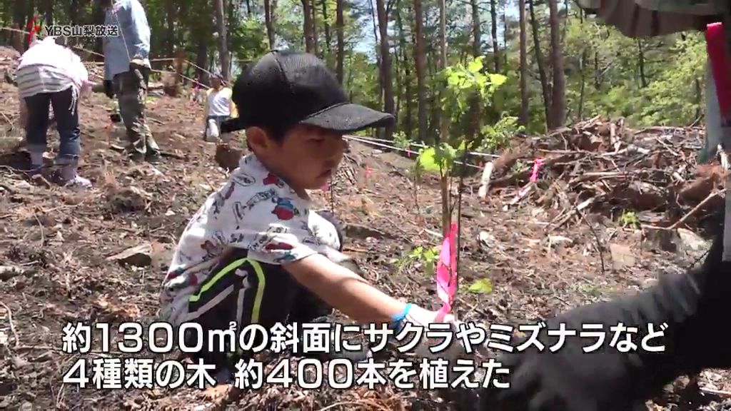 豊かな森林を育むため親子で植樹  山梨県