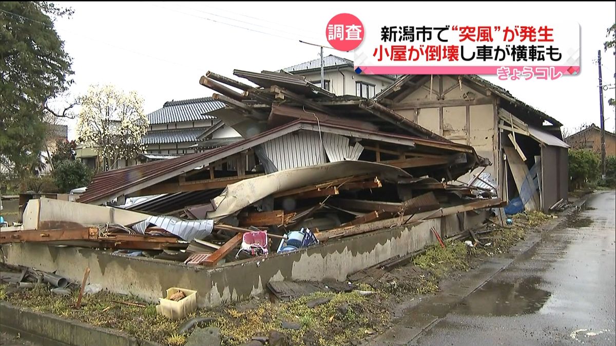 新潟市で８日に「突風」　各地で被害