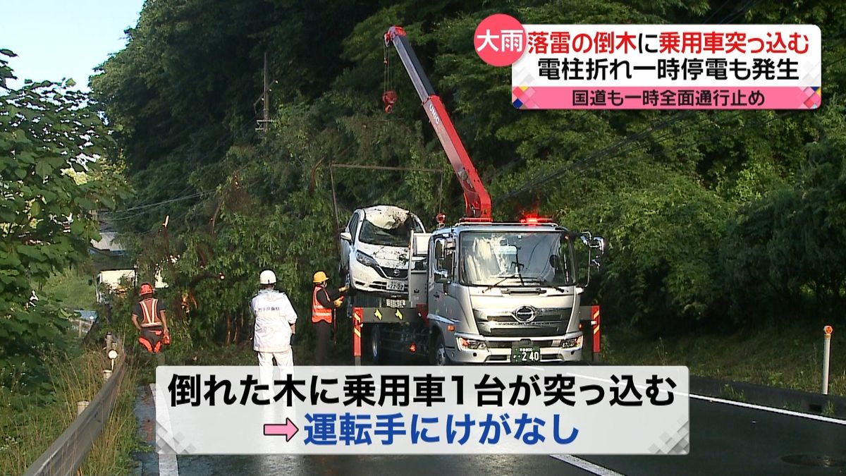 落雷で木が倒れ国道が一時通行止め…一時停電も発生　岩手・住田町